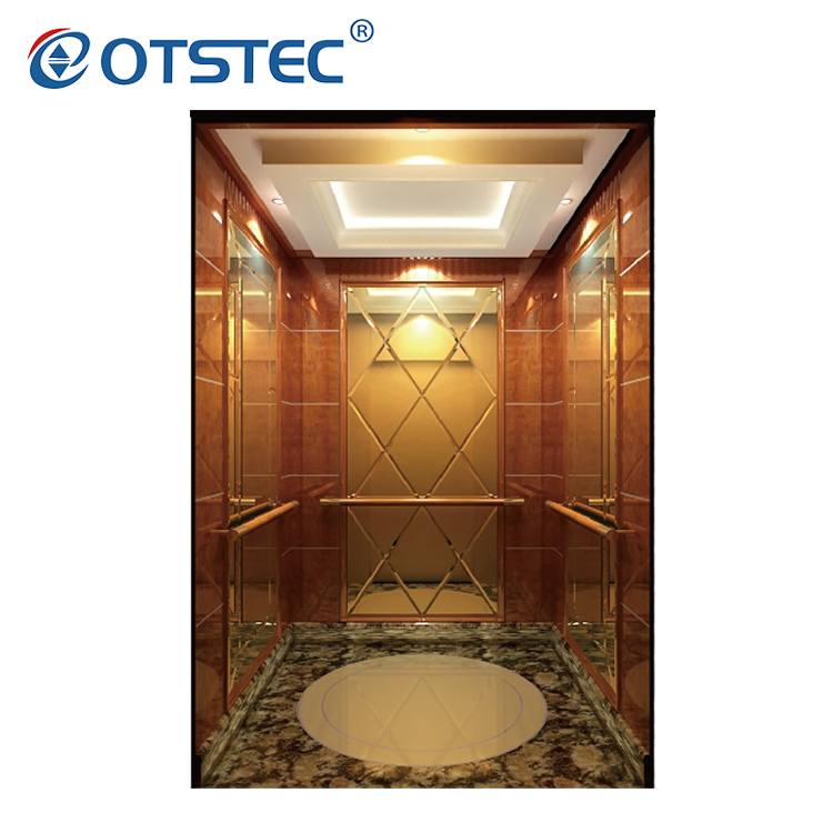 Economic And Customized Design Elevator Passenger Lift Supplier With CE Certifications