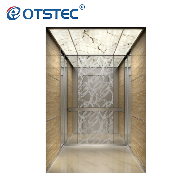 2 Floor Best Price 8 Person Elevator Passenger Elevator In China