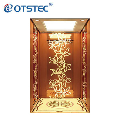 Rose gold hairline stainless steel passenger elevator