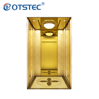 Standard Design Stainless Steel Mirror Etched Price of Residential Home Elevators